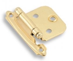 Polished Brass Self-Closing<br>Variable Overlay Hinges
